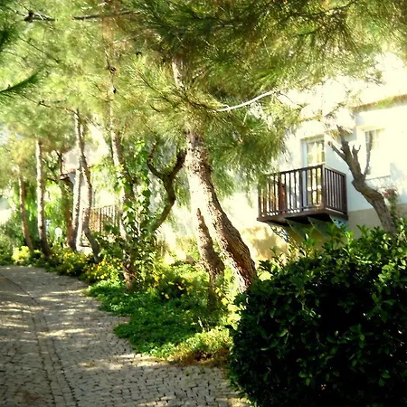 Resort Teos Village 4*