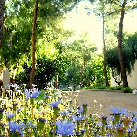 Resort Teos Village 4*